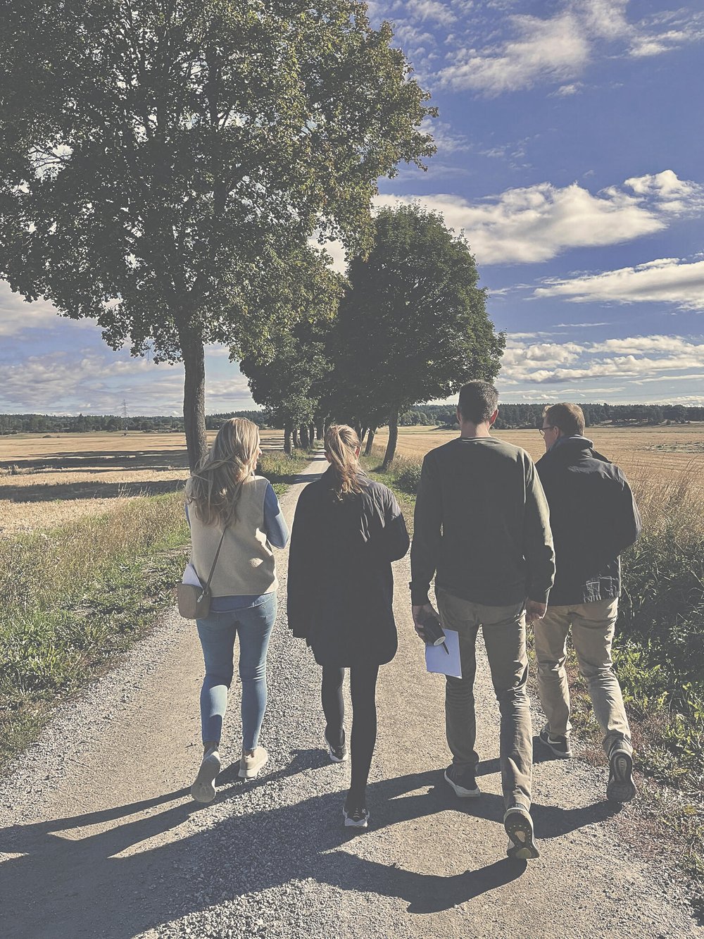 Fyra personer promenerar på en skogsstig